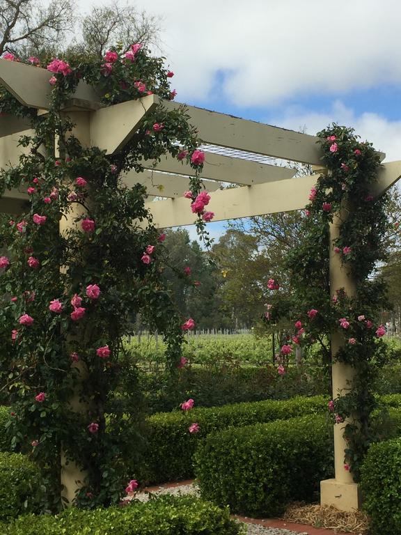 Bed and Breakfast Barossa House Танунда Экстерьер фото