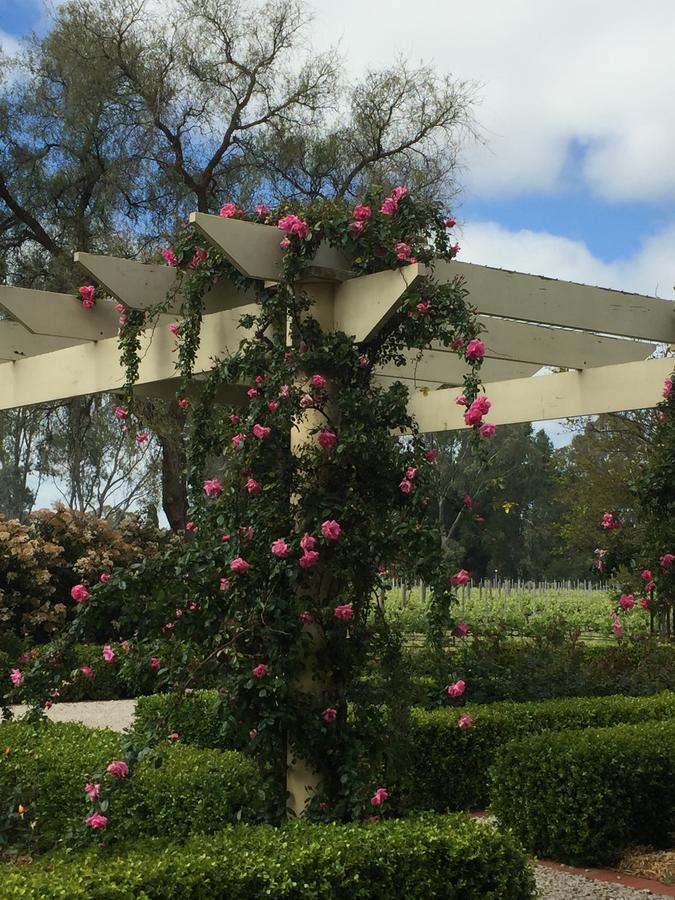 Bed and Breakfast Barossa House Танунда Экстерьер фото