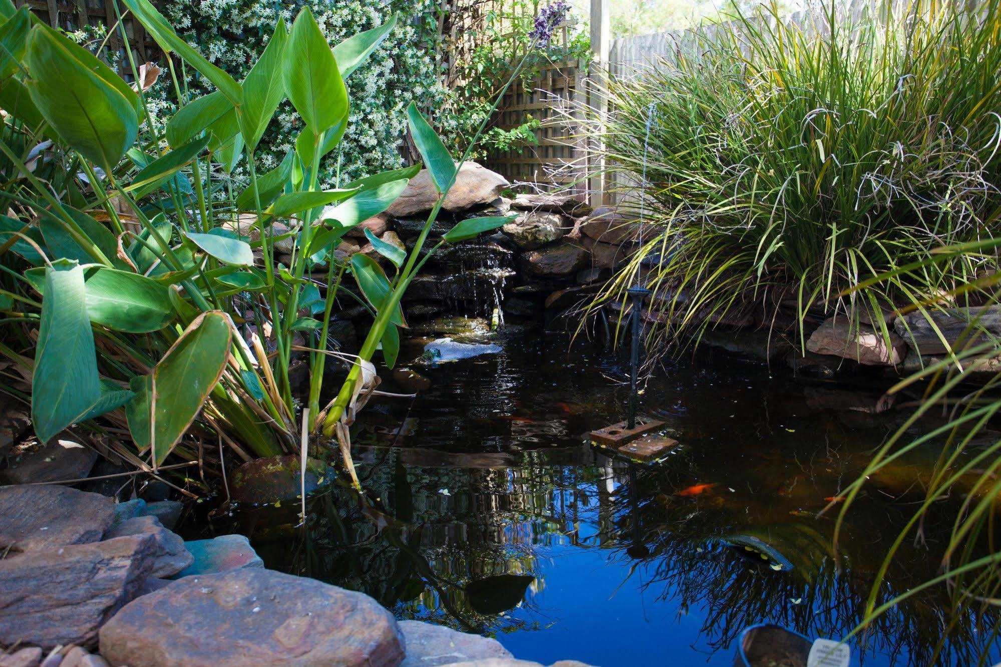 Bed and Breakfast Barossa House Танунда Экстерьер фото